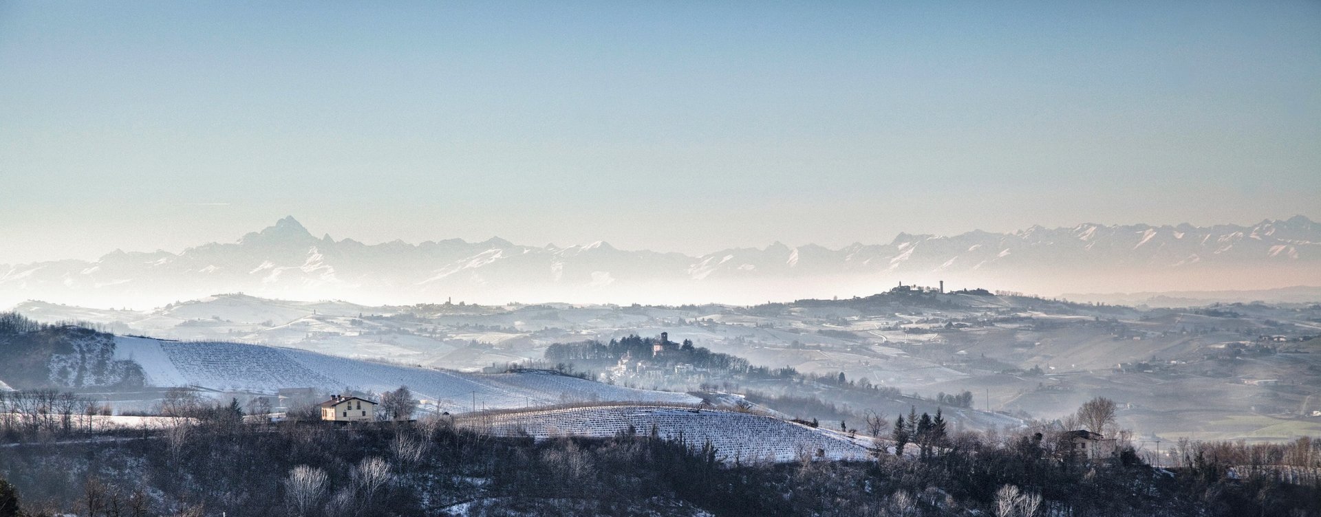 I vigneti di Araldica Castelvero