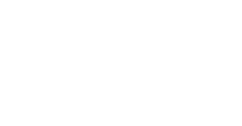 Homepage - Araldica